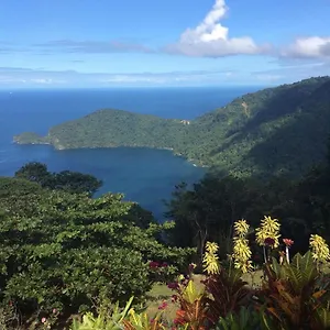 mahogany-ridge.comcaribbean.com/